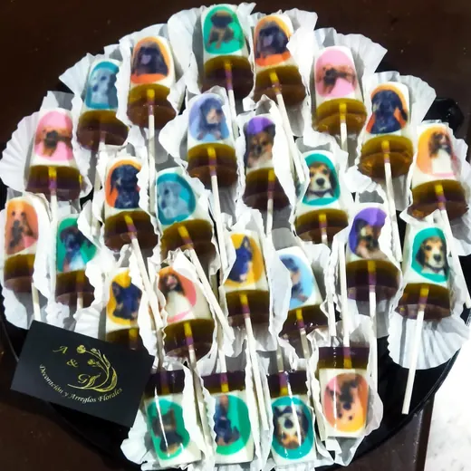 Charola de gelatinas en paleta con fotografías impresas en imagen comestible